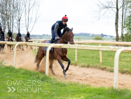BP140425-35 - Squire Danagher (red hat)